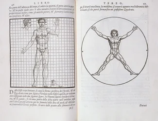 Ideale verhoudingen gebaseerd op het menselijk lichaam, uit 